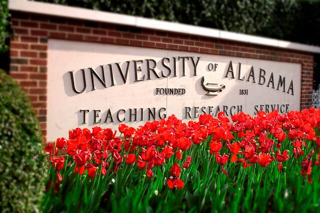 University of Alabama Scholarships Program